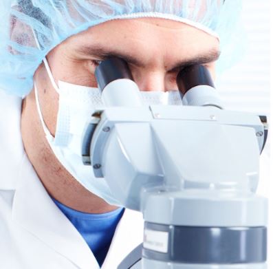 Microscopy08